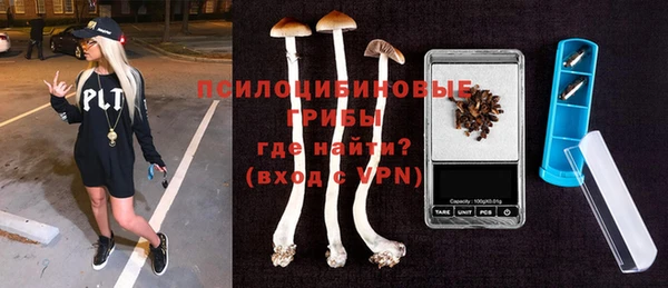 PSILOCYBIN Абдулино