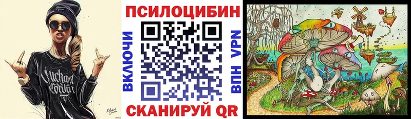 omg   Пудож  Псилоцибиновые грибы Psilocybe 