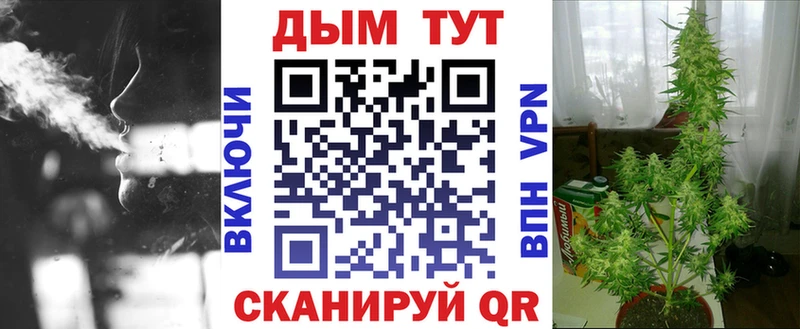 где продают наркотики  мориарти наркотические препараты  Конопля планчик  Пудож 